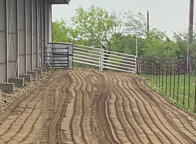 ranch road with some white fences and grass around